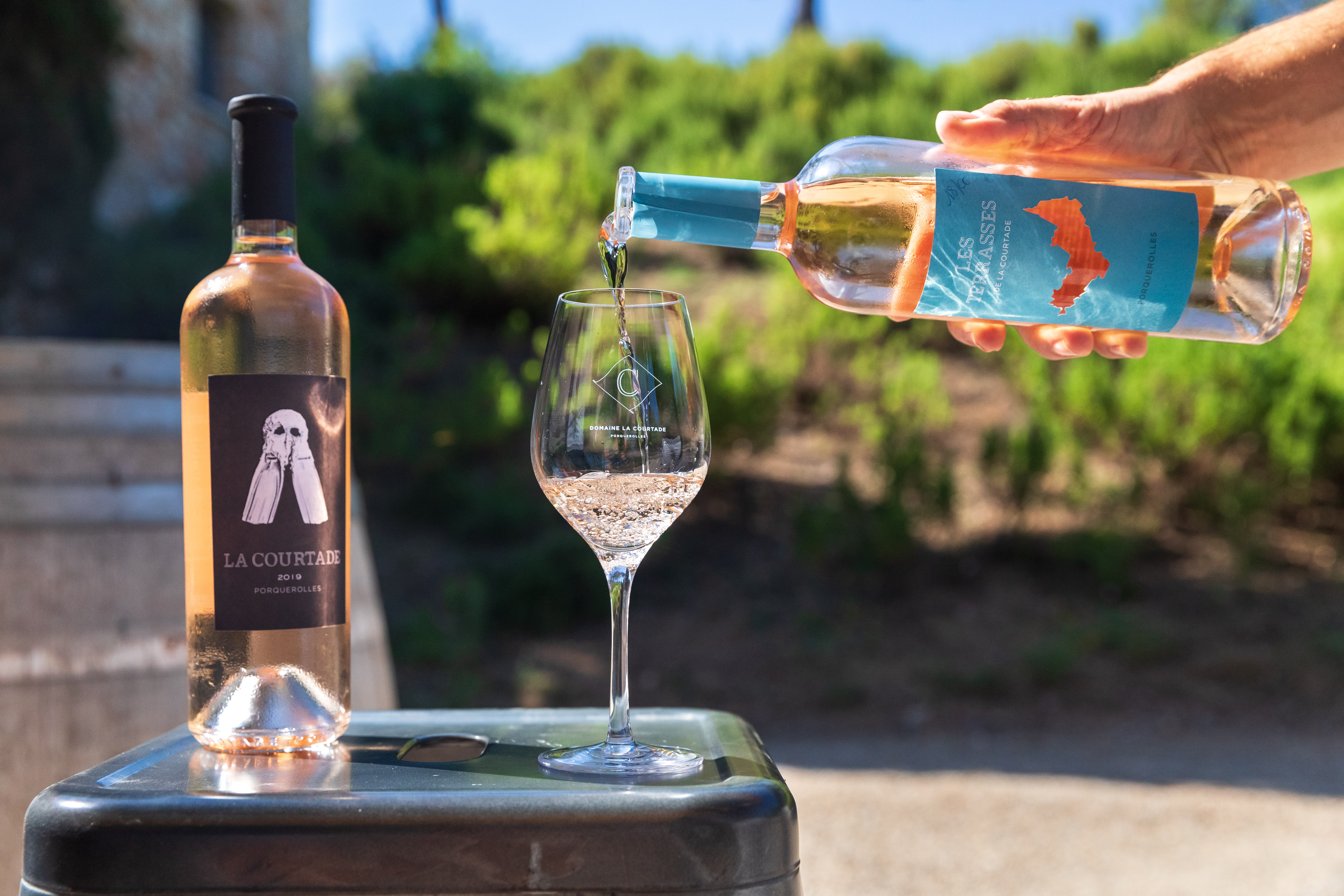 Dégustation Les Tontons Fromtons - Marché Bergerie à Giens