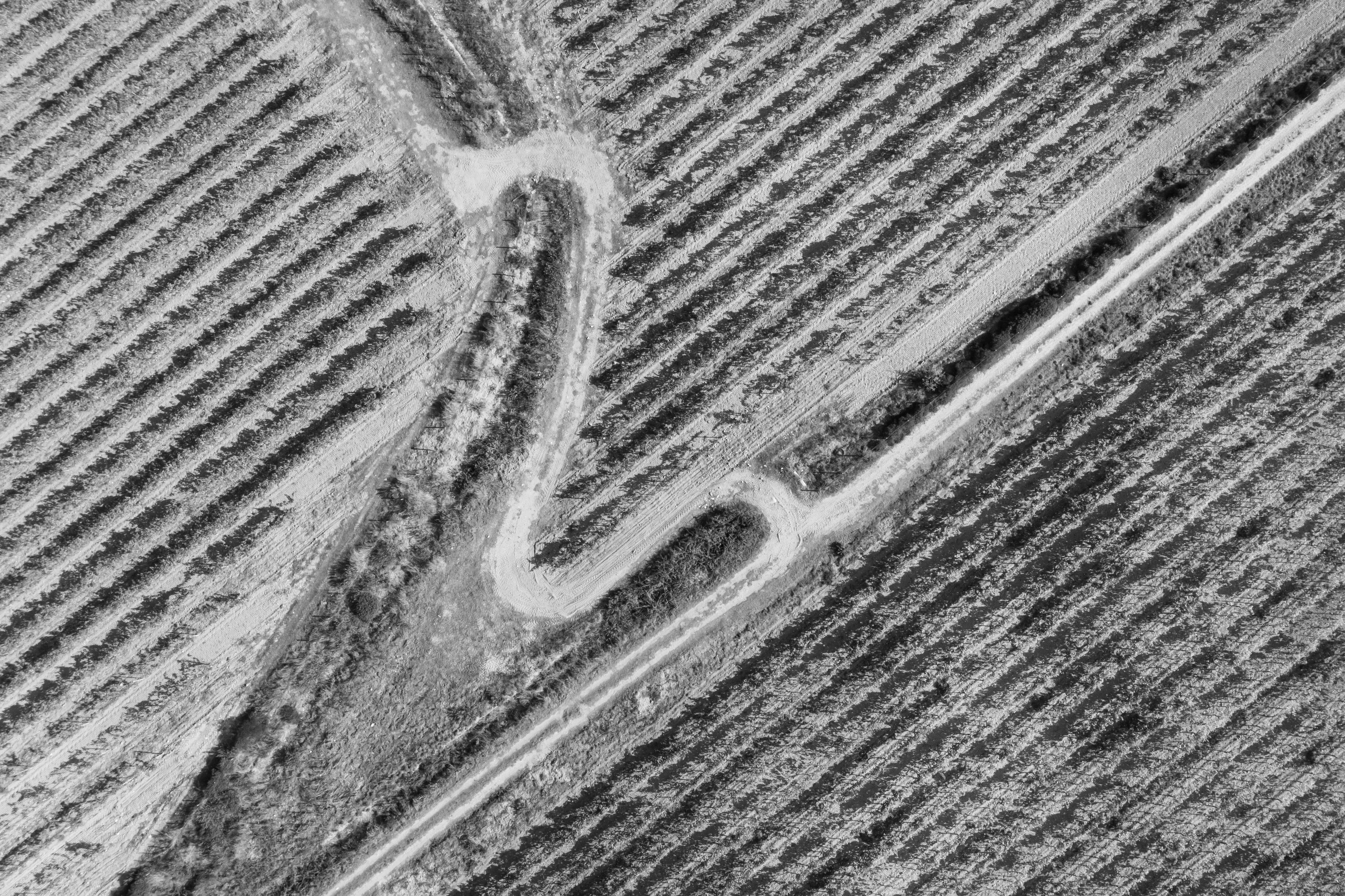 Le Domaine de La Courtade