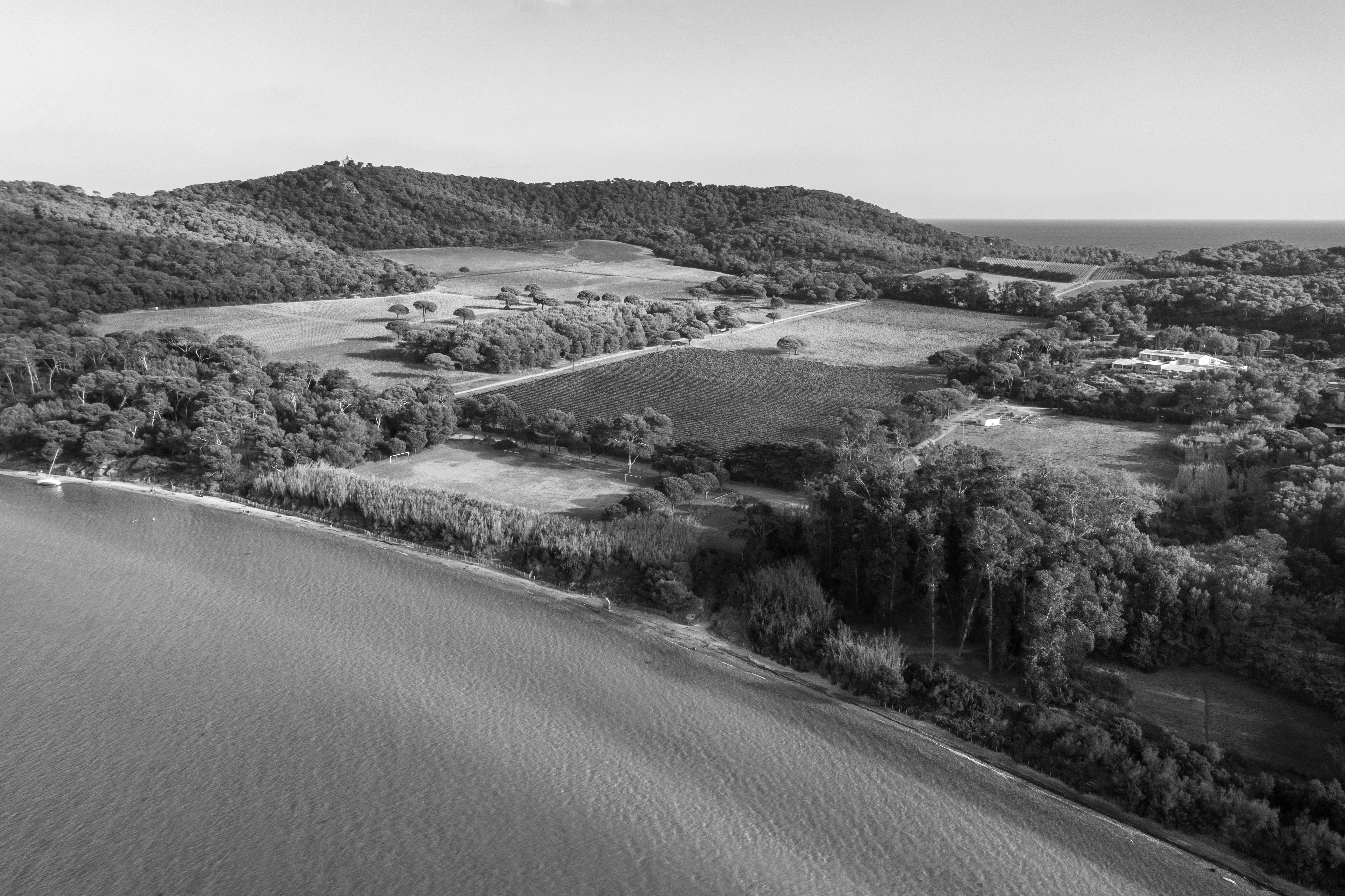 Présentation - Domaine La Courtade