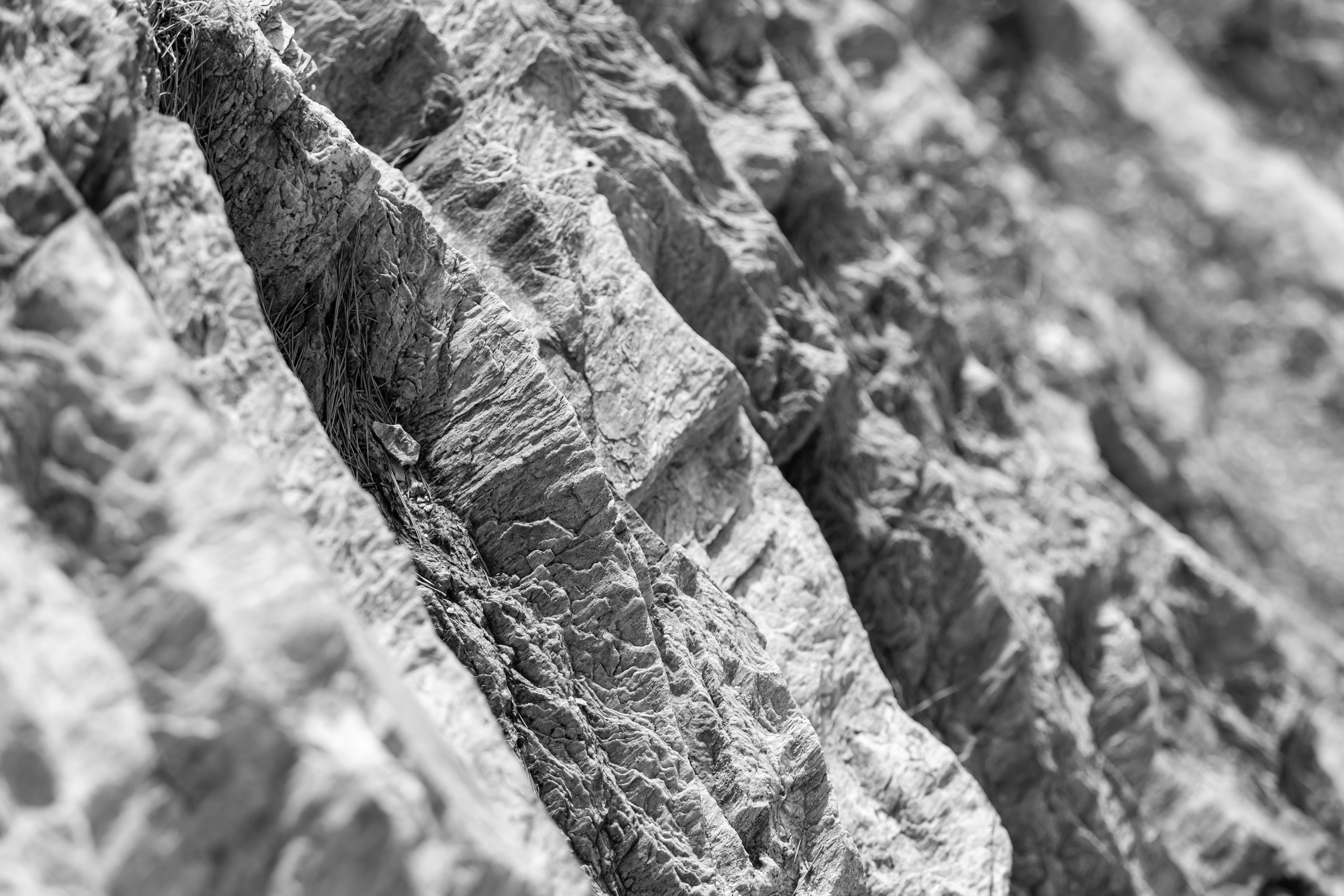 Le Domaine de La Courtade